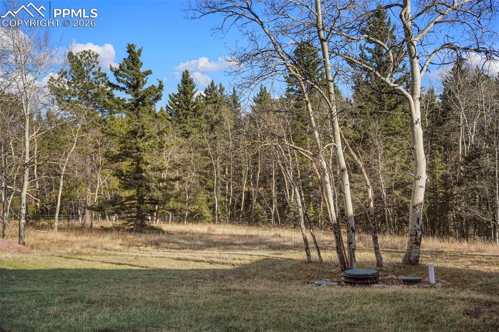 Image 31 of 34: Other