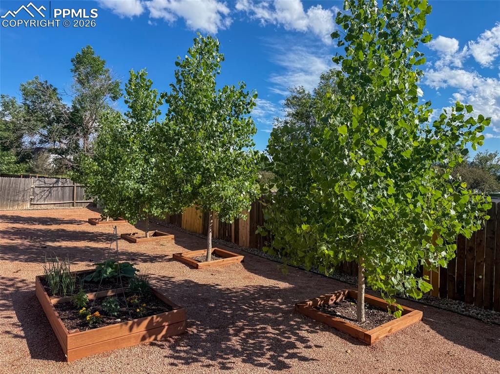 Image 34 of 40: Back yard