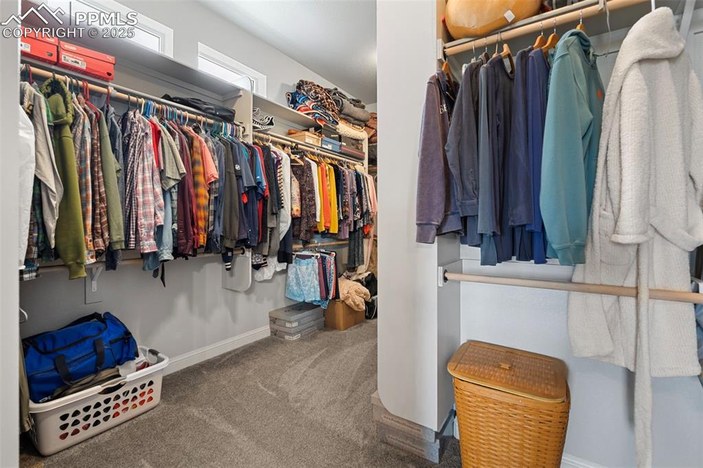 Image 35 of 50: Walk in closet featuring carpet floors