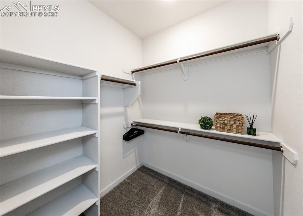 Image 31 of 46: Walk in closet with dark carpet