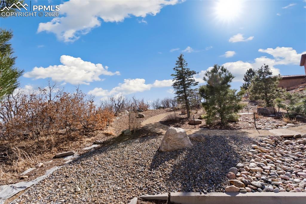 Image 17 of 19: Landscaped with at least 15 trees already!