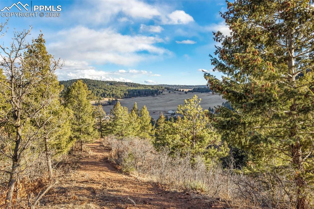 Image 11 of 18: View