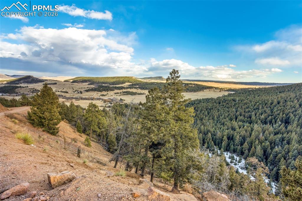 Image 13 of 18: View