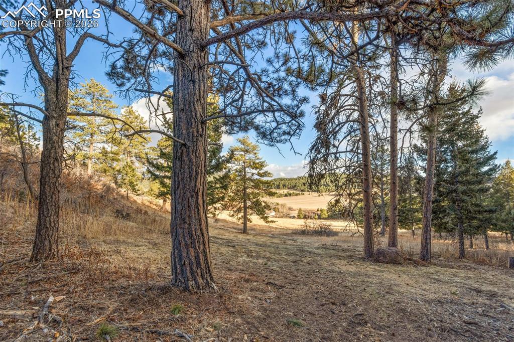 Image 17 of 18: Other