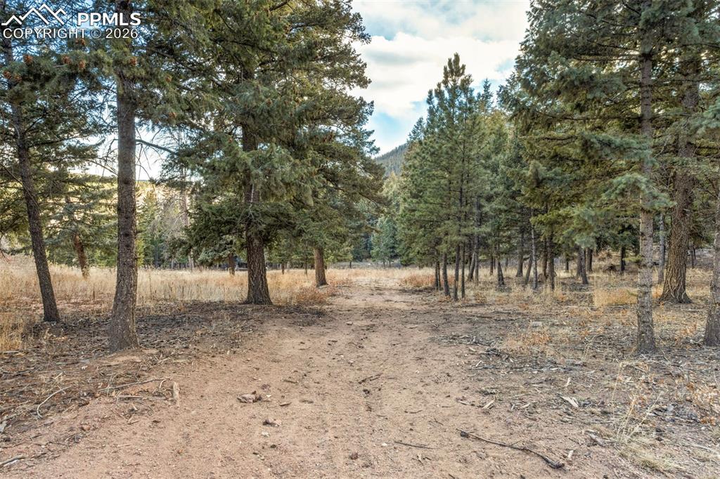 Image 4 of 18: Other