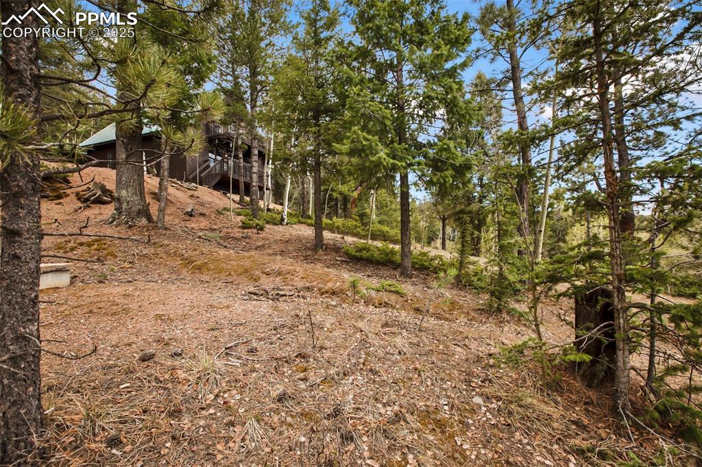 Image 29 of 47: Living Room