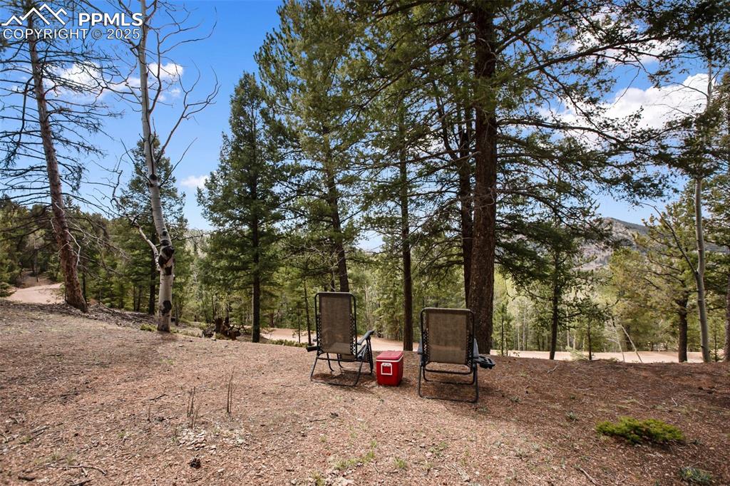 Image 31 of 47: Yard