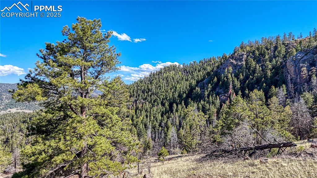 Image 10 of 38: View