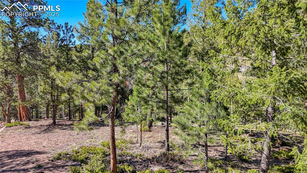 Image 11 of 38: Other