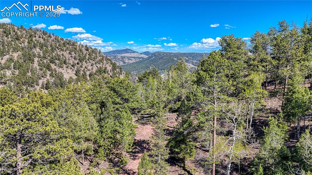 Image 12 of 38: View