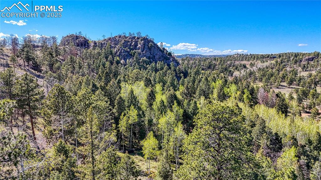 Image 13 of 38: View