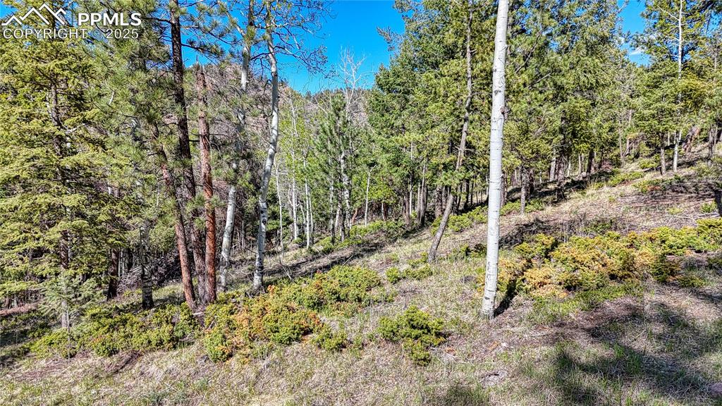 Image 18 of 38: Other