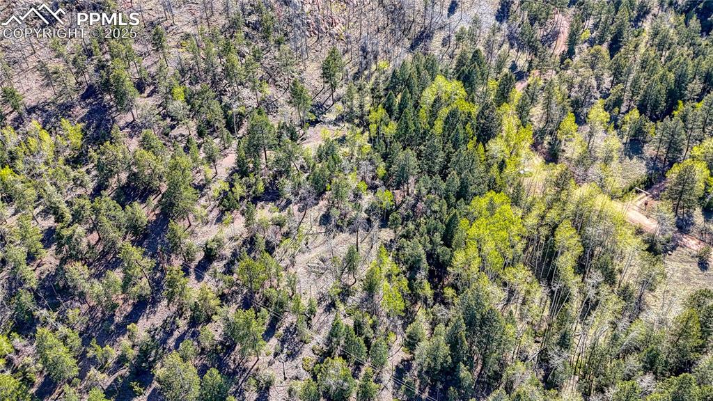 Image 19 of 38: Aerial View