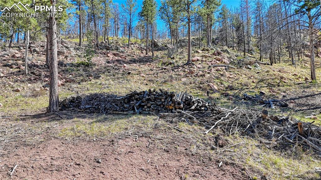 Image 20 of 38: Other