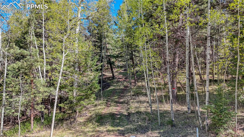 Image 21 of 38: Other