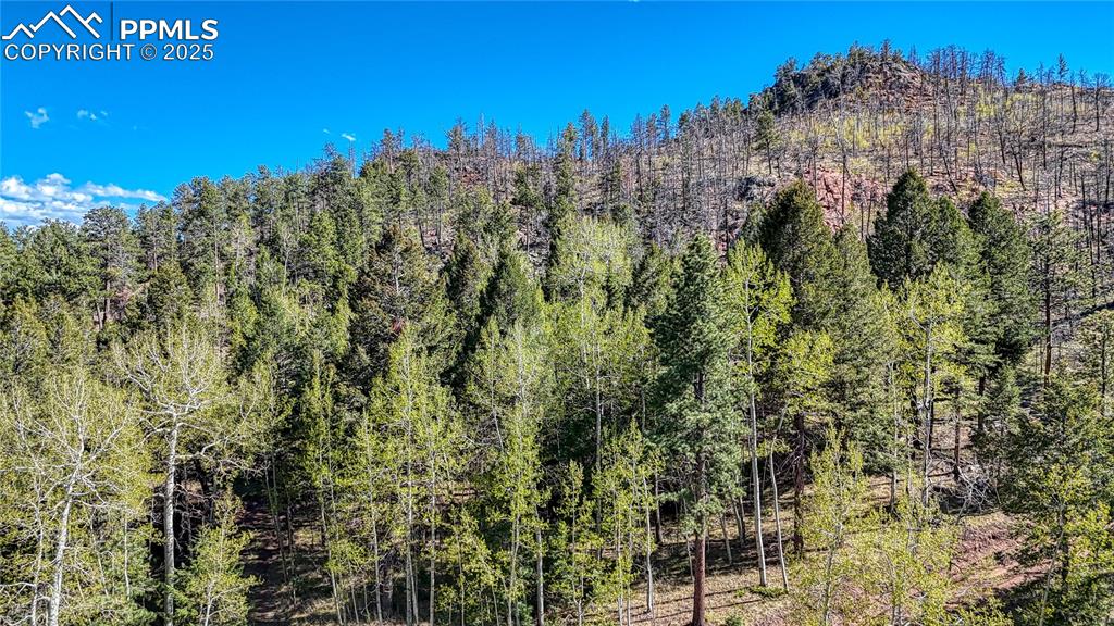 Image 23 of 38: View