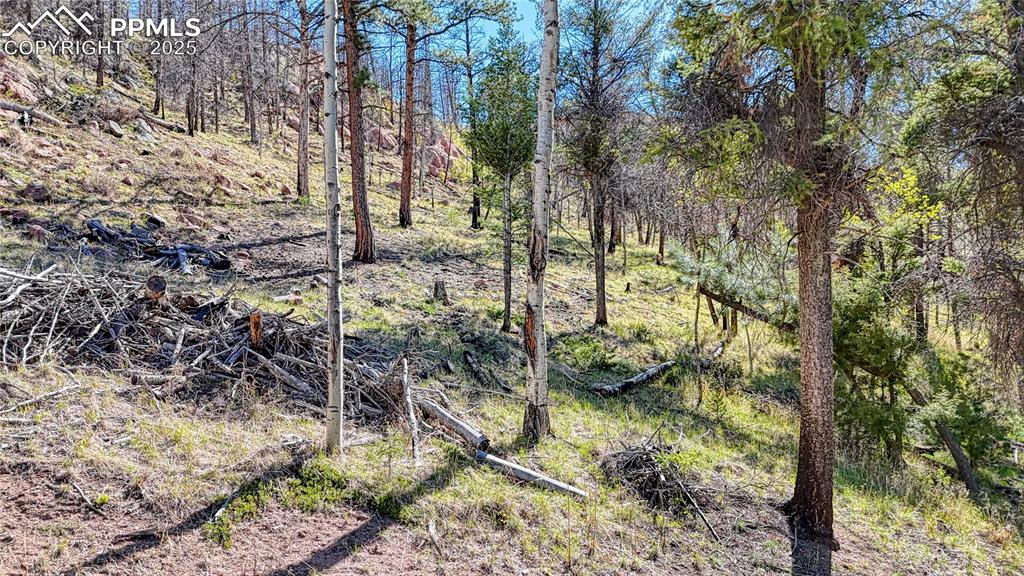 Image 25 of 38: Other