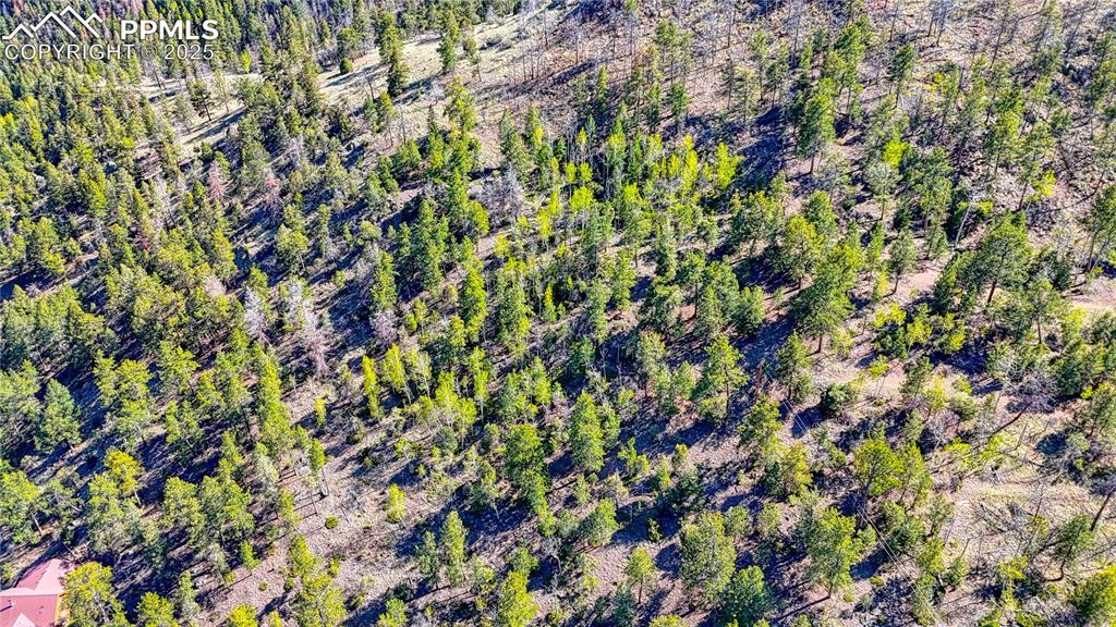 Image 26 of 38: Aerial View