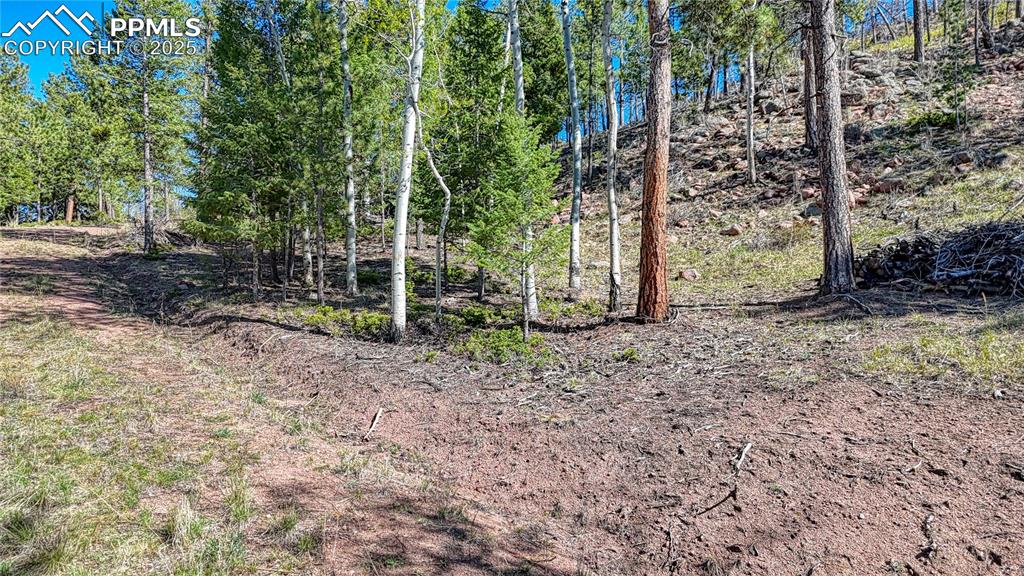 Image 27 of 38: Other