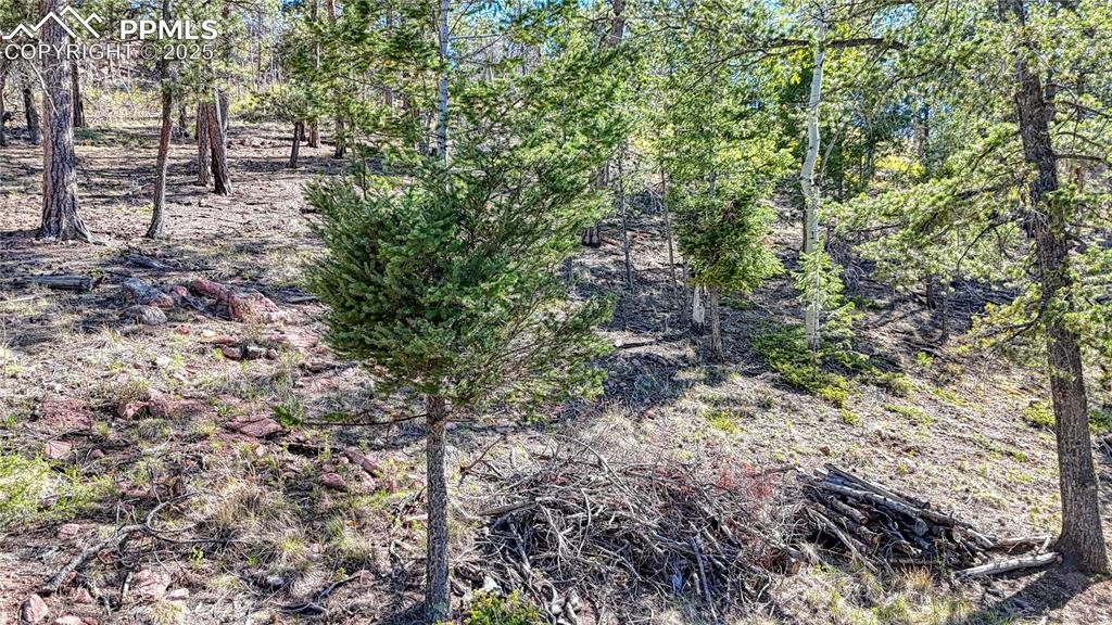 Image 28 of 38: Other