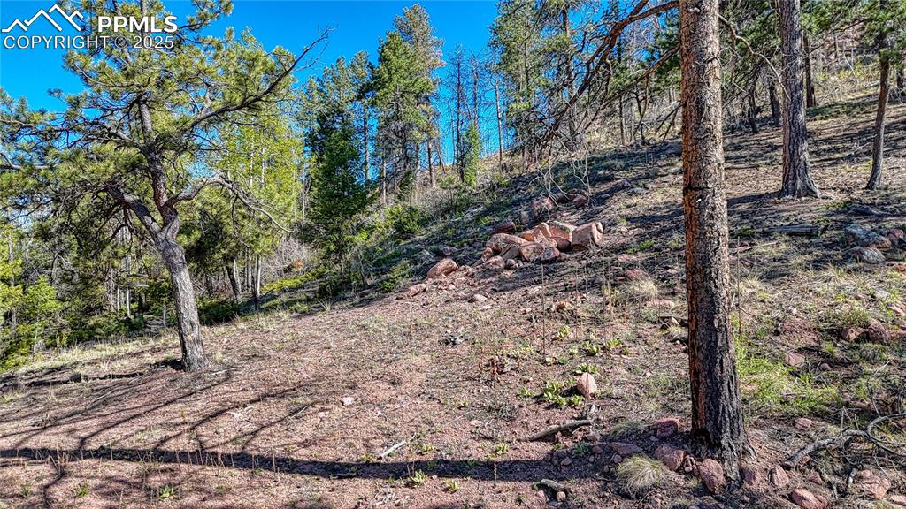 Image 29 of 38: Other