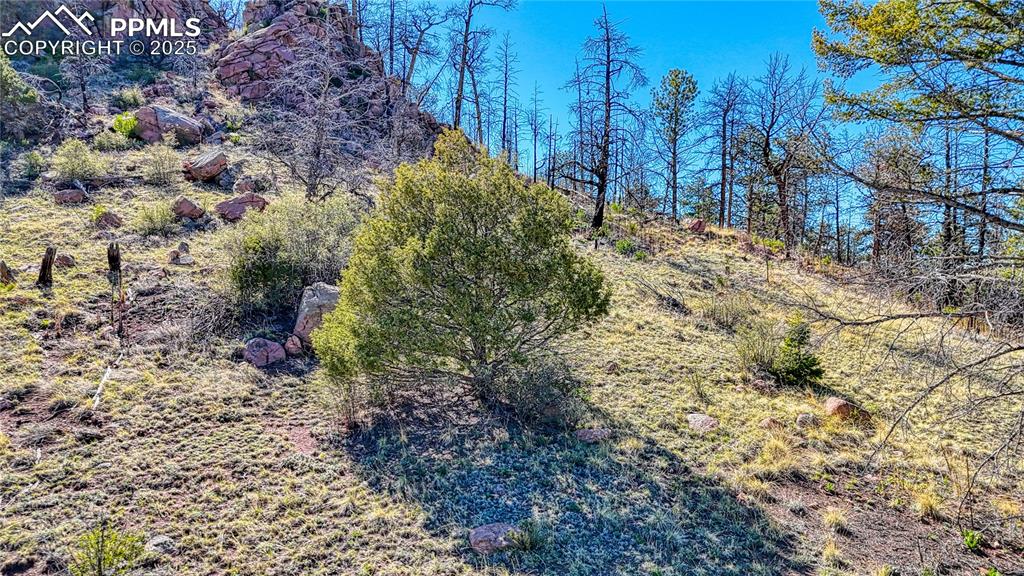 Image 30 of 38: Other