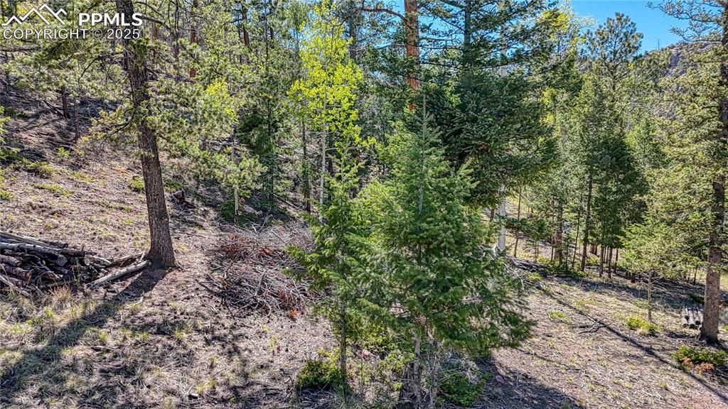 Image 32 of 38: Other