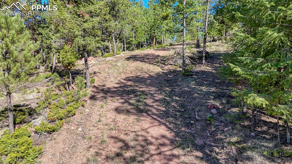 Image 33 of 38: Community