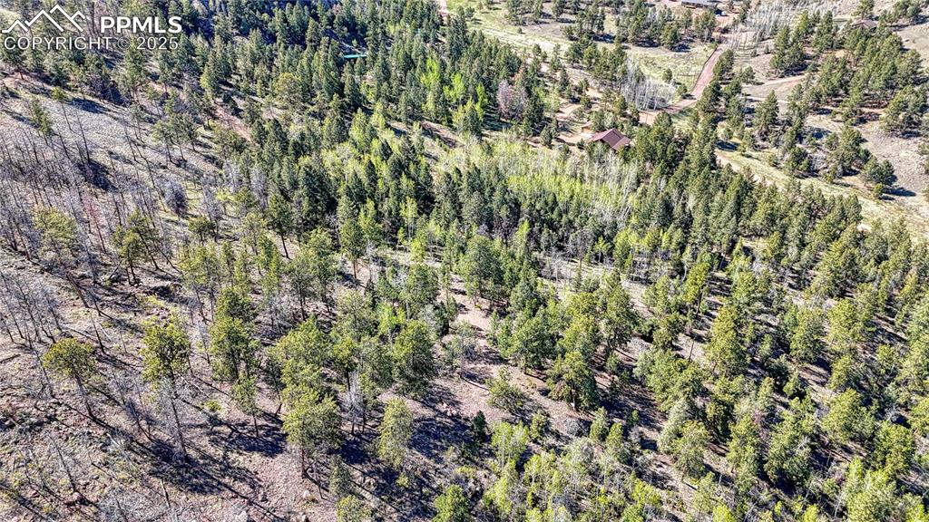 Image 35 of 38: Aerial View