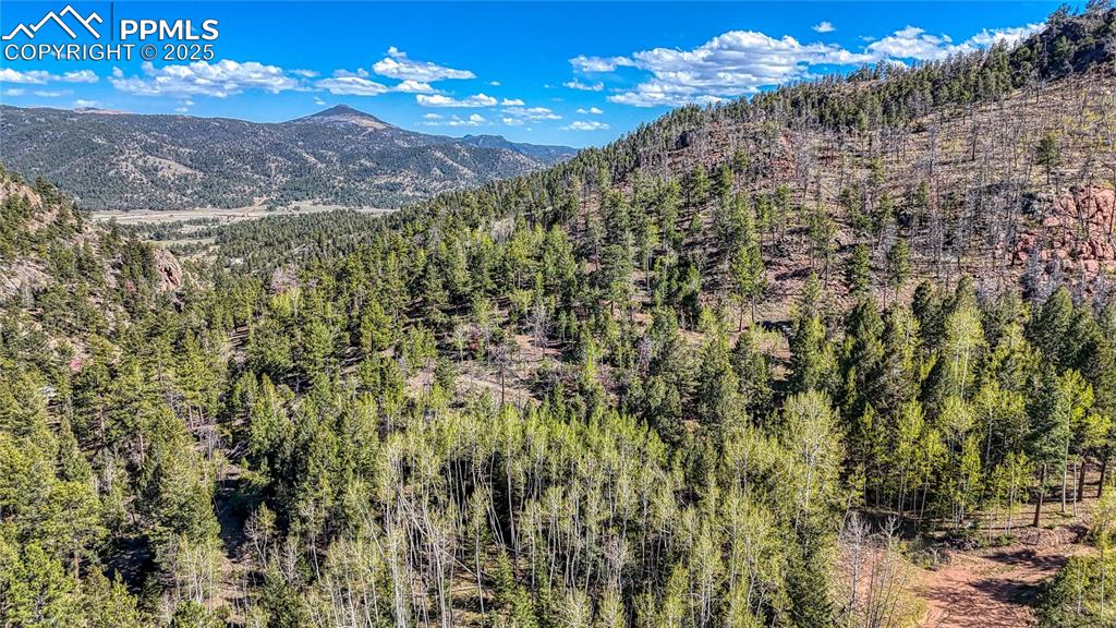 Image 36 of 38: View