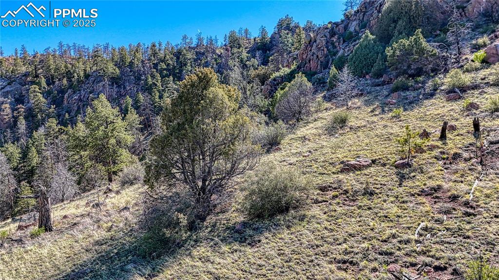 Image 8 of 38: Other