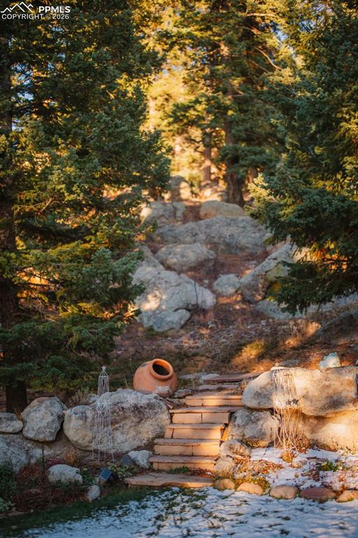 Image 45 of 50: Other