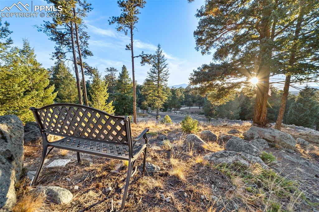 Image 6 of 50: Community