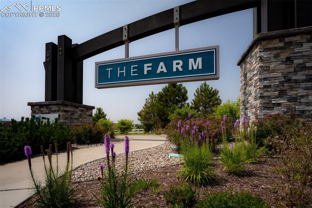 Image 48 of 49: Community