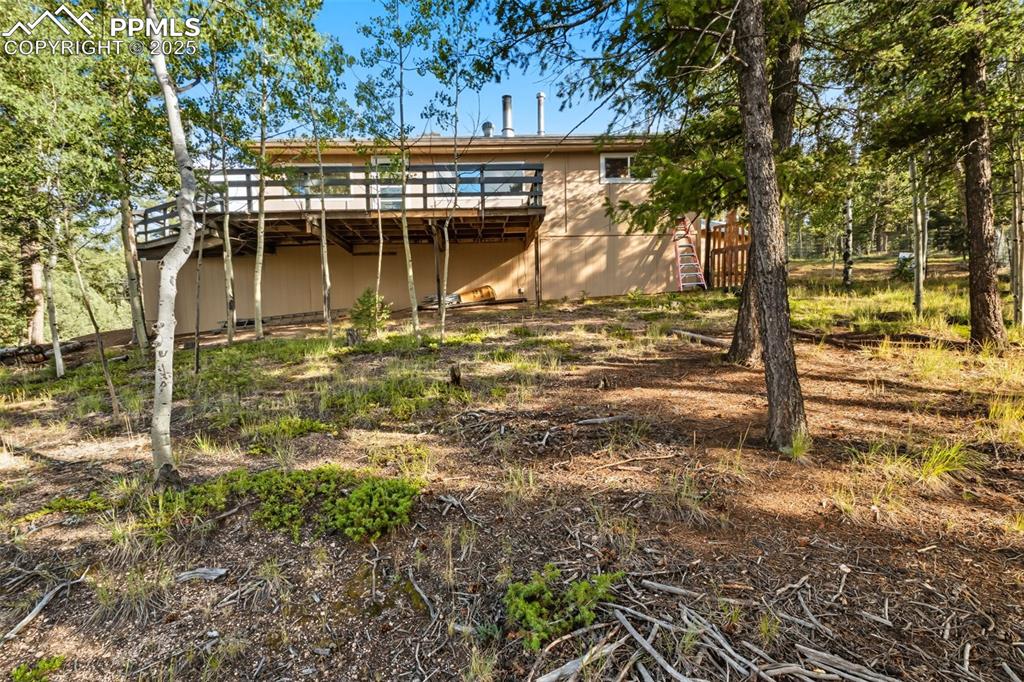 Image 30 of 39: Back of Structure