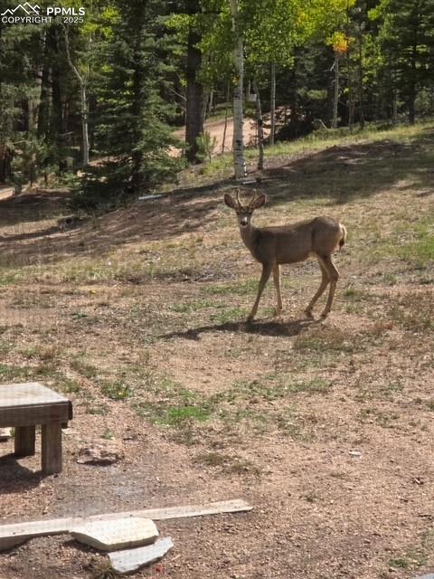 Image 39 of 39: Community