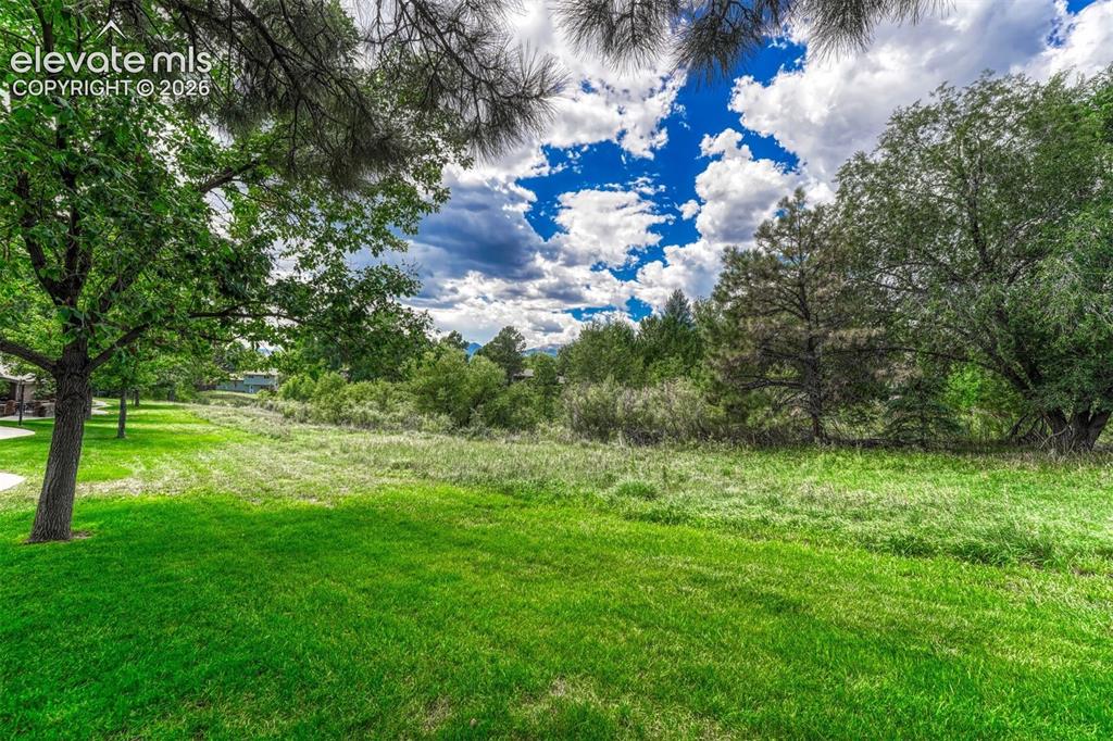 Image 41 of 48: Yard