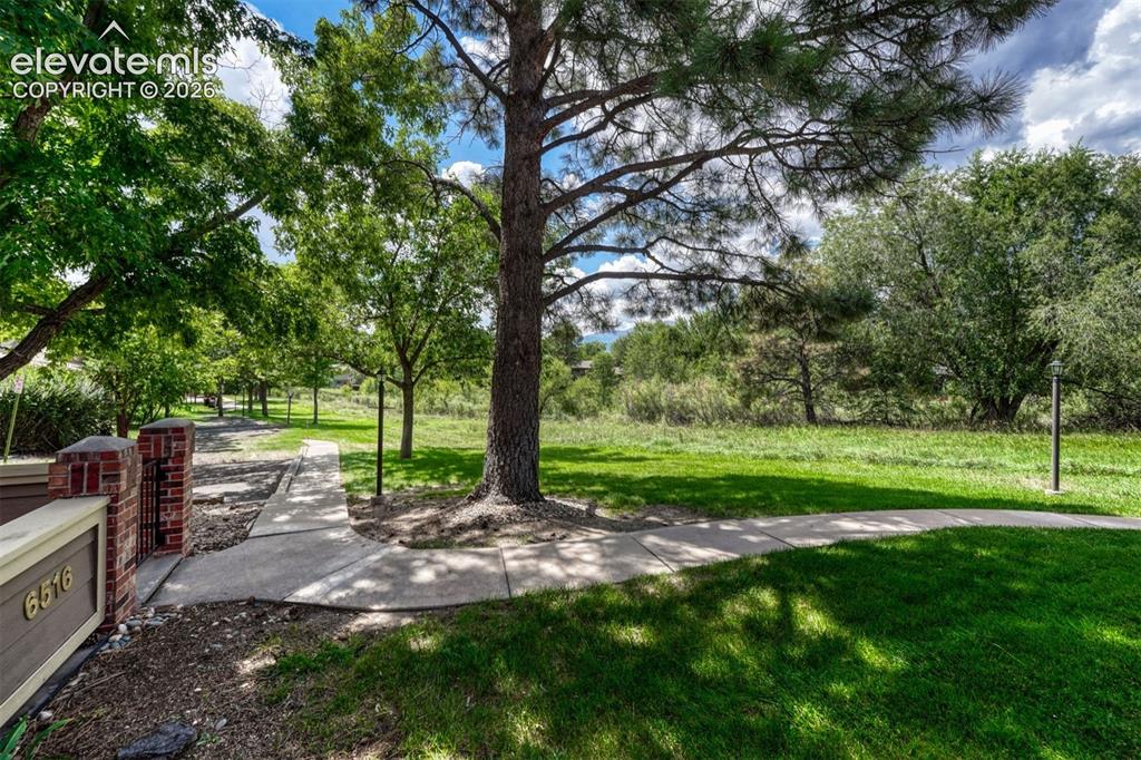 Image 9 of 48: Yard