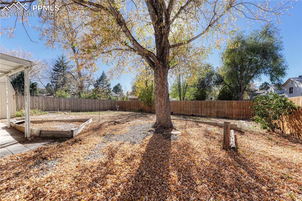 Image 44 of 50: Yard