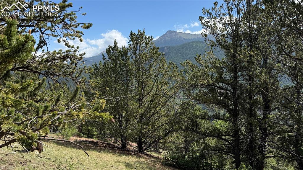 Image 13 of 47: View