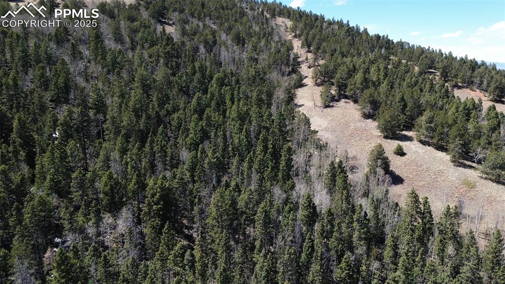 Image 23 of 47: Aerial View