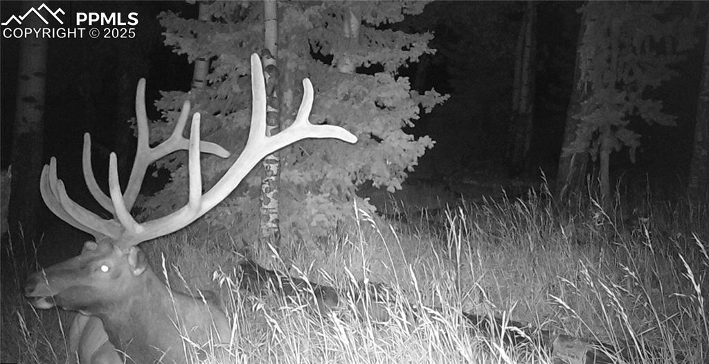 Image 4 of 47: Other