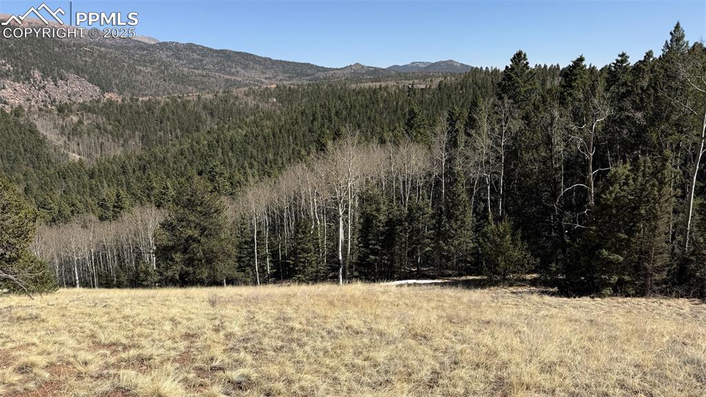 Image 41 of 47: View