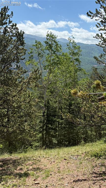 Image 47 of 47: View