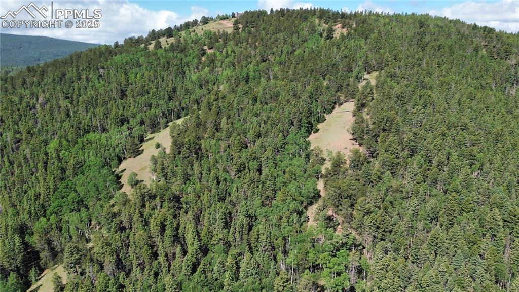 Image 6 of 47: Aerial View