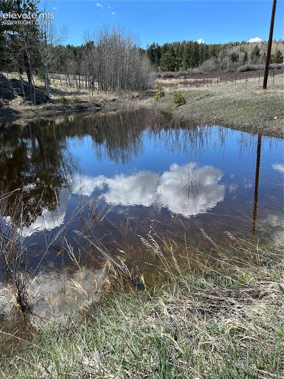 Image 46 of 50: Seasonal pond
