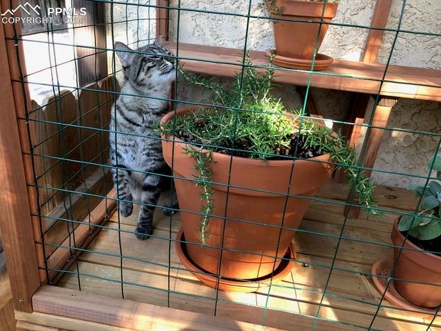 Image 27 of 32: Other