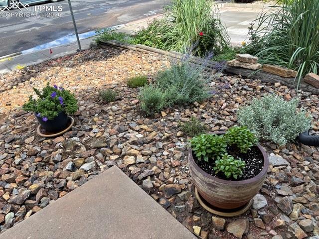 Image 28 of 32: Yard