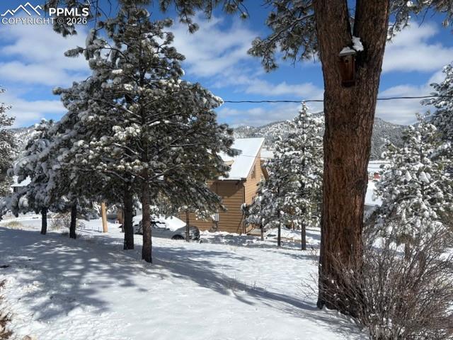 Image 41 of 50: Yard