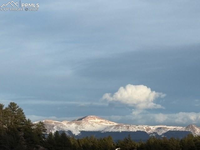 Image 43 of 50: View